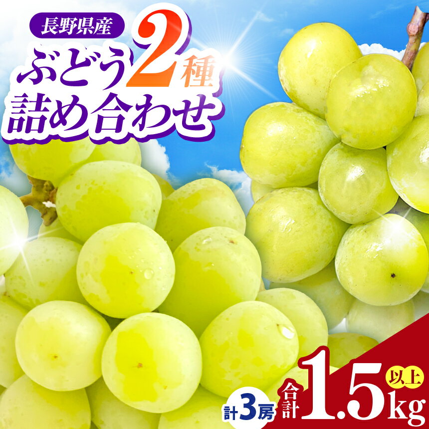 【ふるさと納税】信州伊那産ぶどう2種詰合せセット（1.5kg以上）シャインマスカット　雄宝 【022-18】| 果物 フルーツ シャインマスカット 雄宝 長野県 伊那市