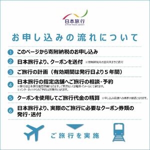島根県出雲市　日本旅行　地域限定旅行クーポン300000円分