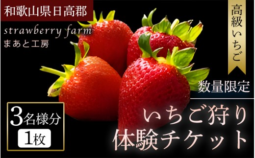 【体験】 【開催期間 2027年1月1日～5月7日】 オリジナルいちごと人気ブランドいちごの食べ比べ いちご狩り体験チケット ( 3名様分)【maato004】