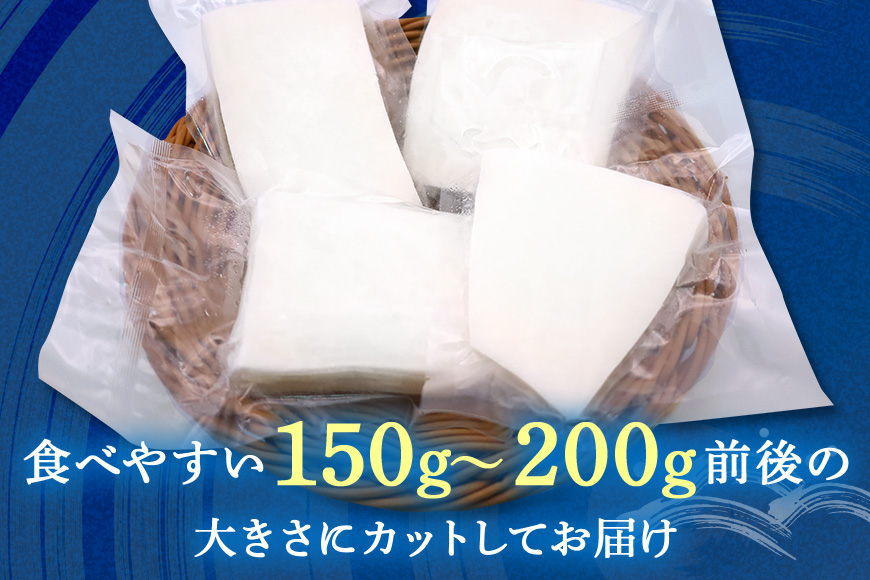 モチっとした新食感！ソデイカ（セーイカ）約3kg