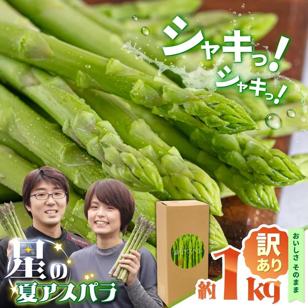 【訳あり】【星のアスパラ】グリーンアスパラガス 約1kg 【サイズ不揃い L-S】 / 訳アリ 規格外 産地直送 アスパラ あすぱら あすぱらがす 採れたて 新鮮 旬 産地直送 / 南島原市 / ほしのYA[SEY021]
