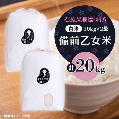 ふるさと納税 高梁市 【石原果樹園】令和8年産　備前乙女米　白米10kg×2袋(BOH10-2)