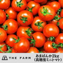 【ふるさと納税】ザファームのあまばんか(高糖度ミニトマト)2kg【先行予約品・返礼品の発送は2025年1月下旬以降】【配送不可地域：離島・沖縄県】【1463004】