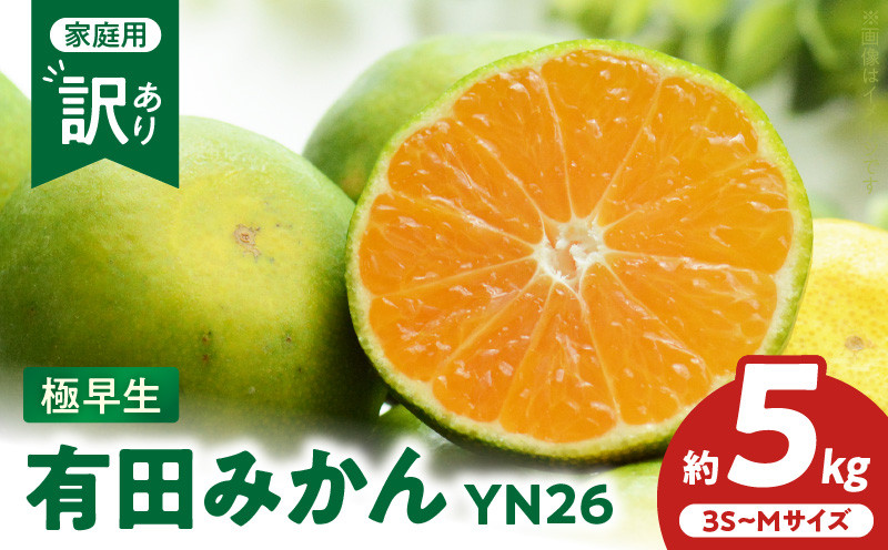 
                  【2026年先行予約】こだわりの有田みかん 極早生 YN26 約5kg サイズ3S～M_ZT6404
                