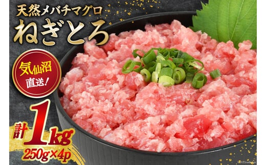 
										
										ネギトロ 気仙沼港直送 1kg (250g×4p) [畠和水産 宮城県 気仙沼市 20563348] メバチマグロタタキ 三陸産 小分け まぐろ丼 ねぎとろ まぐろ まぐろたたき 鮪 レビューキャンペーン
									