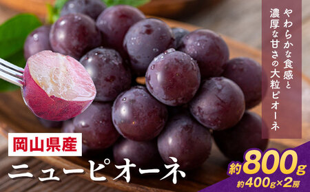 【先行予約】 岡山県産 ニューピオーネ詰合せ 選べる 計 800g 株式会社はちや《8月下旬‐9月下旬頃出荷》送料無料【配送不可地域あり】