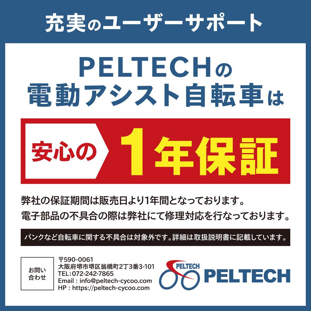 PELTECH（ペルテック）ノーパンク 折り畳み電動アシスト自転車 20インチ 折り畳み外装6段変速（TDN-208LN）【簡易組立必要】【マットブラック】