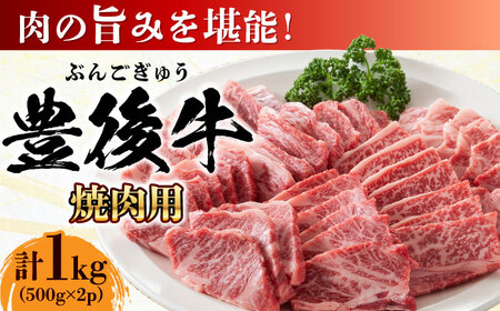 おおいた豊後牛 焼肉用 1kg(500g×2P) 日田市 / 株式会社MEAT PLUS　牛 うし 黒毛和牛 和牛 豊後牛[AREI022]