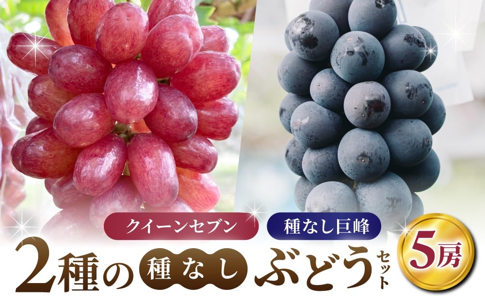 
            【あおさく農園】2種の種なしぶどうセット（クイーンセブン・種なし巨峰）合計5房セット　※2025年9月中旬以降発送予定｜農薬削減
          