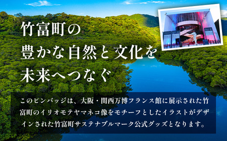 竹富町公式サステナブルマークピンバッジ【グリーン】（マグネットタイプ）｜大阪・関西万博フランス館イリオモテヤマネコ像