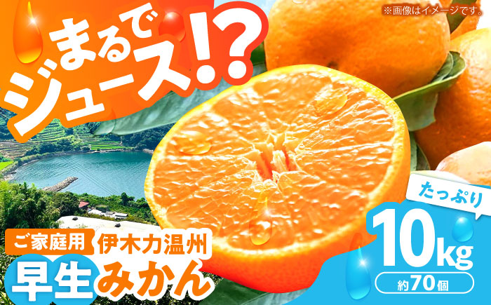 ※【2026年11月より順次発送／先行予約】力温州早生みかん10kg(ご家庭用、箱入り) / みかん 温州みかん 柑橘 蜜柑 ミカン 果物 / 諫早市 / 末永果樹園 [AHBD002]