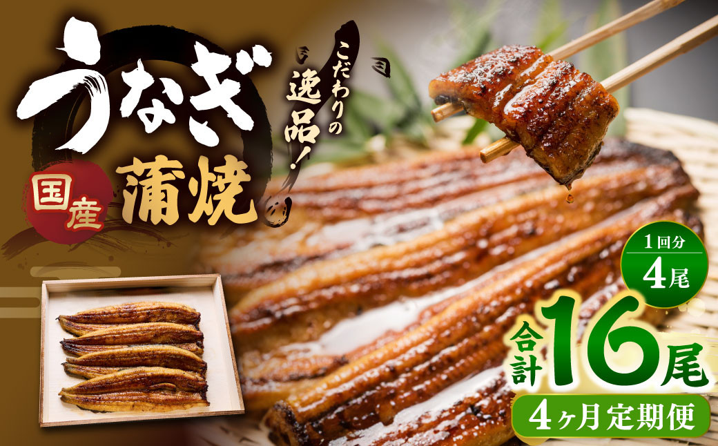 
            【4ヶ月定期便】 蒲焼きうなぎ 4尾 （国産） ／ 鰻 うなぎ ウナギ 蒲焼き 蒲焼 うなぎの蒲焼 鰻の蒲焼き たれ付き 自家製たれ 山椒 冷蔵 国産
          