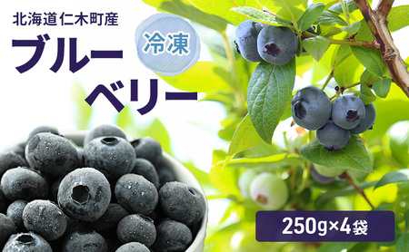 ブルーベリー 冷凍 北海道産ブルーベリー【250g×4袋】