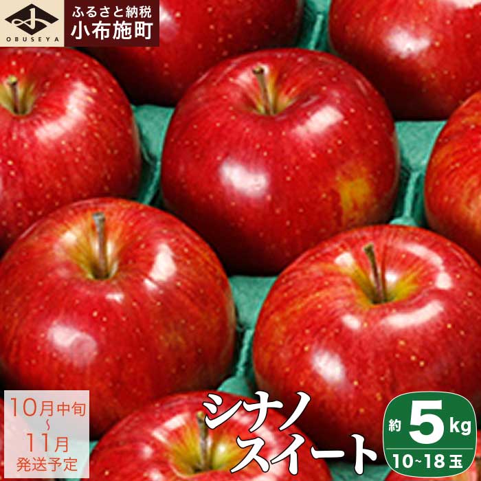 シナノスイート 約5kg 10～18玉 ［小布施屋］ りんご 林檎 リンゴ 果物 フルーツ 長野県産 信州産 特産 産地直送 産直 数量限定 先行予約 令和7年産 【2025年10月中旬～11月発送】