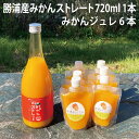 【ふるさと納税】勝浦産みかんストレート 720ml＋みかんジュレセット