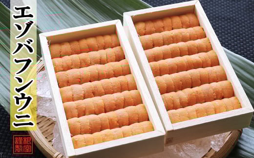 
            C-71027 エゾバフンウニ並べ詰め約80～100g×2折[11月上旬以降発送]
          