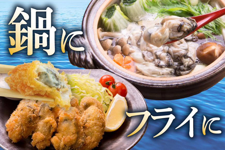 【期間限定発送】 牡蠣 むき身 生食用 500g?2p 計1kg (約30‐50個入) [住喜水産 宮城県 気仙沼市 20566382] 期間限定 冷蔵 新鮮 濃厚 真牡蠣 カキ かき 生牡蠣 魚貝類 生牡蠣 貝 海鮮 魚介類 なべ カキフライ 牡蠣ご飯 魚介