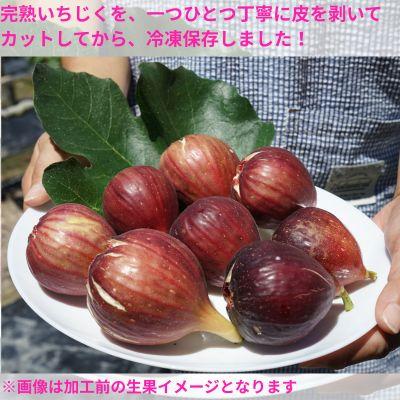 ふるさと納税 奈半利町 冷凍いちじく(約500g)　116021 |  | 01