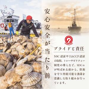 隔月2回定期便 北海道 野付産 ホタテ 特大ホタテ500g 野付 貝柱