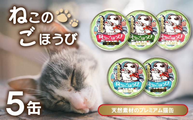 
キャットフード 天然素材プレミアム猫缶「ねこのごほうび」5缶セット 下関 山口
