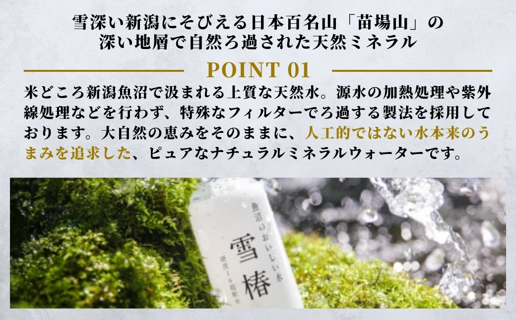 【定期便】雪椿の天然水 2L×6本×全12回
