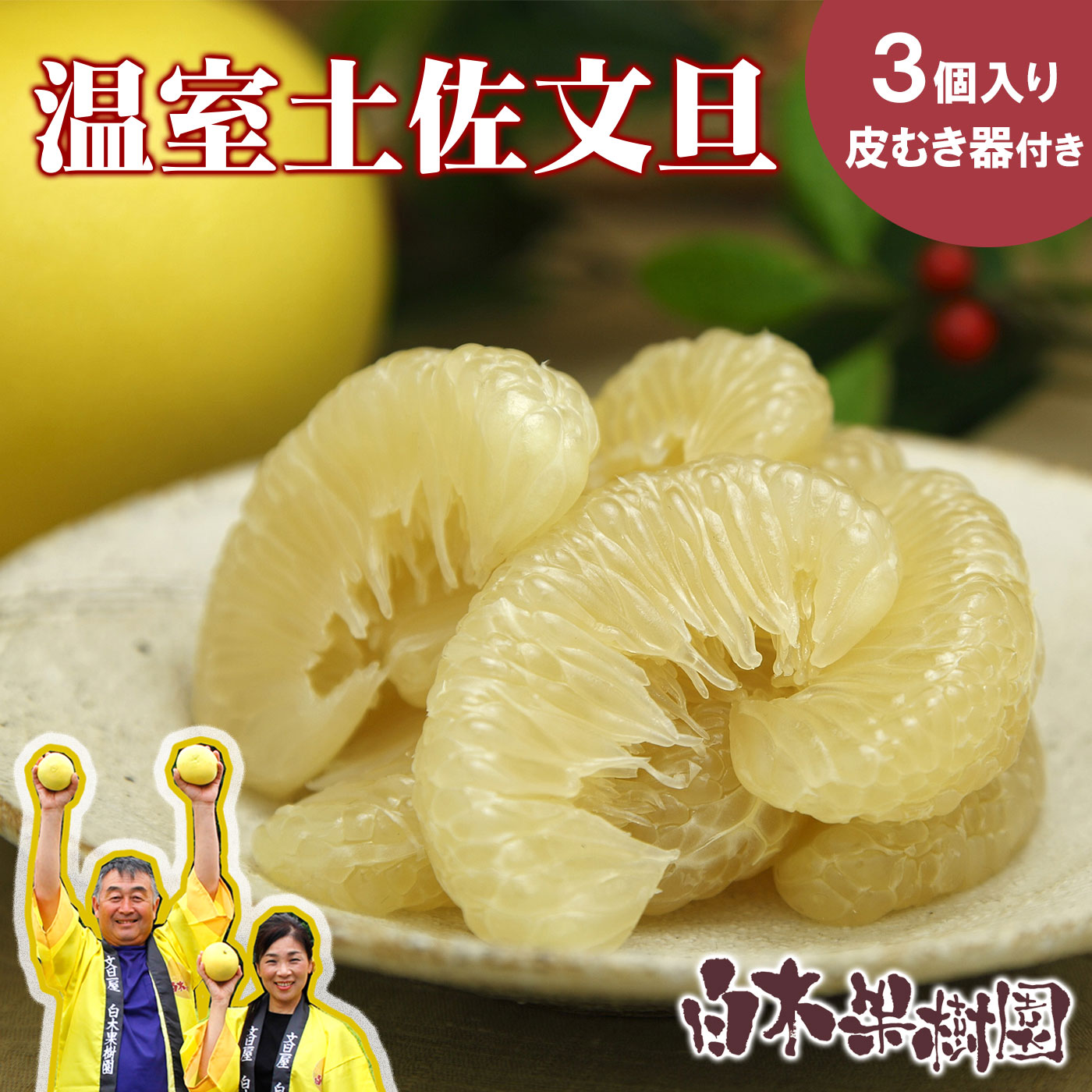 【ふるさと納税】【先行予約】温室土佐文旦 Lサイズ 3個入り 柑橘皮むき器付き〈2026年12月上旬〜2027年1月中旬頃発送〉 / お得箱 ブンタン ぶんたん 土佐文旦 フルーツ 果物 くだもの 柑橘 旬 訳あり わけあり ご自宅用 ご家庭用 おいしい【白木果樹園】[BQAI038]