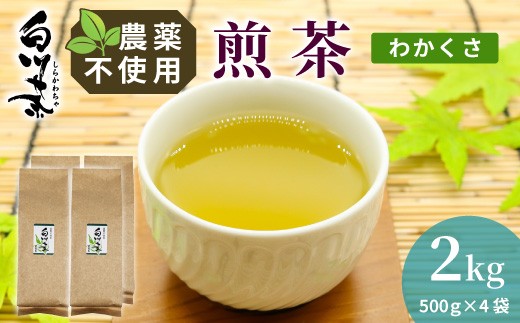 《農薬不使用》煎茶 わかくさ 2kg (500g×4袋) 常磐園 日本茶 白川茶 美濃白川茶 緑茶 煎茶 茶葉 お茶 二番茶 春摘み お試し 岐阜県 東白川村 家庭用 事務所用 大容量