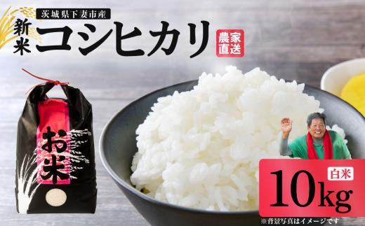 精米 コシヒカリ 10kg 茨城県下妻市産 【 米 お米 白米 ごはん こめ コシヒカリ 令和7年産 茨城県産 】