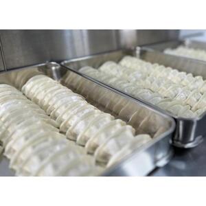 ガツンとニンニク肉ぎょうざ５０個入り【食品 加工食品 人気 おすすめ 】