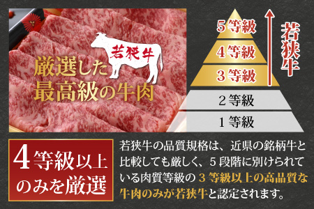 【福井のブランド牛肉＆ブランド豚肉】若狭牛と荒島ポーク すき焼きセット 650g 
