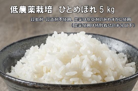 
            【新米先行予約】令和7年産 新米 低農薬栽培米 ひとめぼれ 5kg 【精米】
          