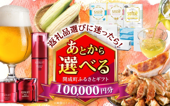 
            【あとから選べる】開成町ふるさとギフト 10万円分 あとから寄附 選べる寄附 ティッシュ トイレットペーパー 化粧品 餃子 体験 お茶 日本酒 定期便 神奈川 開成町 [BDZZ007]
          