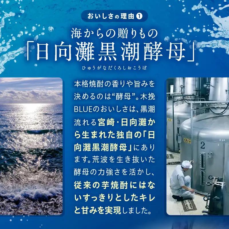 焼酎 へべす 焼酎[【最速便】木挽BLUEハイボール 1箱(24本) お酒 酒 アルコール 木挽BLUE ハイボール 缶 ソーダ割り 食中酒 糖質ゼロ]