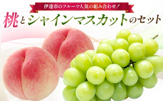 【2026年出荷分先行予約】福島県産 桃とシャインマスカットのセット 大橋ふぁーむ 伊達市のフルーツ人気の組み合わせ 伊達の桃 桃 シャインマスカット フルーツ 果物 もも モモ momo F21C-309