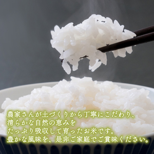 【パックご飯】無洗米 京都府産キヌヒカリ パックご飯 300g×6個 龍の森