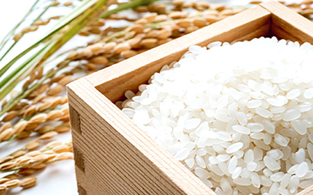 ＜先行予約＞(令和7年産)【6回定期便】長崎県認定特別栽培米にこまる5kg / 米 こめ コメ おこめ お米 白米 精米 にこまる kome 長崎県産 / 諫早市 / 宮下農園   [AHCG026]