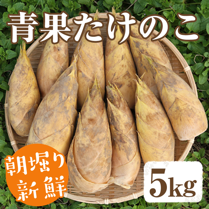 ＜先行予約受付中！2027年2月下旬以降順次発送予定＞ 【平日着】朝堀り青果たけのこ(約5kg) 国産 新鮮 タケノコ 青果 竹の子 筍 野菜 春 旬 期間限定 数量限定 【上野食品】akn008-20-A