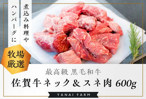 《佐賀牛》梁井 旨味たっぷり ネック＆スネ肉 600g【佐賀牛 スジ肉 赤身 コラーゲン ぷるぷる ほろほろ トロける スネ すね 煮込み料理 カレー シチュー 美味しい ブランド肉】 A3-A081