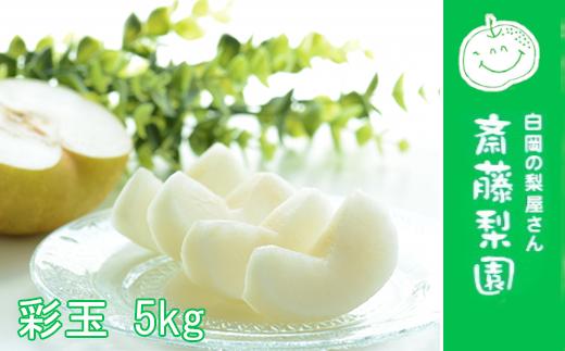 
                  彩玉　約5kg　【11246-0256】
                
