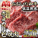 【ふるさと納税】おおいた和牛 赤身カルビ焼肉 (250g) 国産 牛肉 肉 霜降り 低温熟成 A4 和牛 ブランド牛 カルビ 焼肉 BBQ 冷凍 大分県 佐伯市【DH200】【(株)ネクサ】