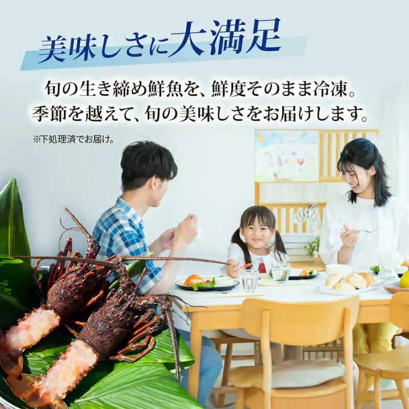 【 鮮魚 】 鮮魚 セット 4回 定期便 3種～5種