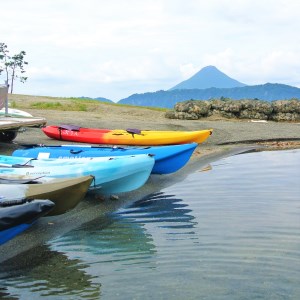 【池田湖でアクティビティ体験】シーカヤック 45分間ペアチケット(えぷろんはうす池田/A-180)