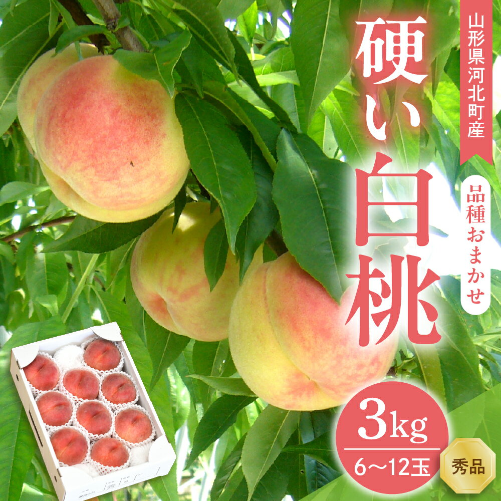【ふるさと納税】【令和7年産】 硬い白桃 3kg ( 6～12玉前後 ) ギフト用 品種おまかせ 山形県河北町産【山形eLab】/ 桃 モモ もも フルーツ 果物 くだもの お取り寄せ グルメ 産地直送 山形県 河北町