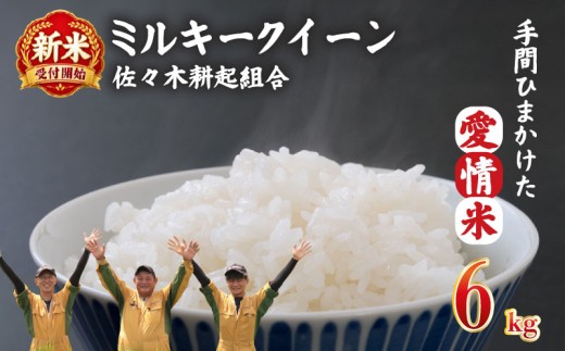 【新米】米 ミルキークイーン 特別栽培米 6kg 令和8年産 8年産 新米 新潟県産 お米 白米 ご飯 精米 玄米 おにぎり 弁当 個包装 小分け プレゼント ギフト 贈答 のし 佐々木耕起 佐々木こうき 佐々木耕起組合 新潟県 新発田市 ssk013