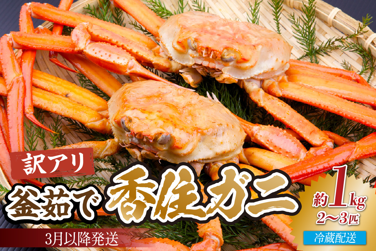 【訳あり茹で香住ガニ 約1kg（2～3匹）（冷蔵）】香住港 香住ガニ かに カニ 紅ズワイガニ 紅ずわいがに 紅 新鮮 国産 脚 足 爪 身 肩 訳あり 兵庫県 香美町 宿院商店 33-42