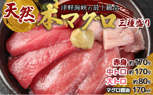 
                  天然本マグロ三種盛り　 赤身 中トロ トロ 本マグロ クロマグロ お刺身 刺身 松前町 北海道
                