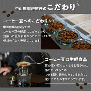 定期便12回(コーヒー豆)中山珈琲焙煎所のスペシャルティコーヒー4種セット各100g全12回 コーヒー豆 まめ 珈琲 定期便 12回 コーヒーセット 詰合せ コーヒー飲み比べ 056-09-T4