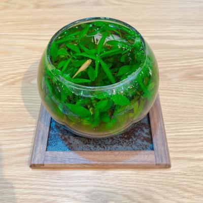 ふるさと納税 藤枝市 工房仕立て セラミックプレート(ネロ・ウォールナット無垢材)|インテリア雑貨・小物置きにも |  | 02