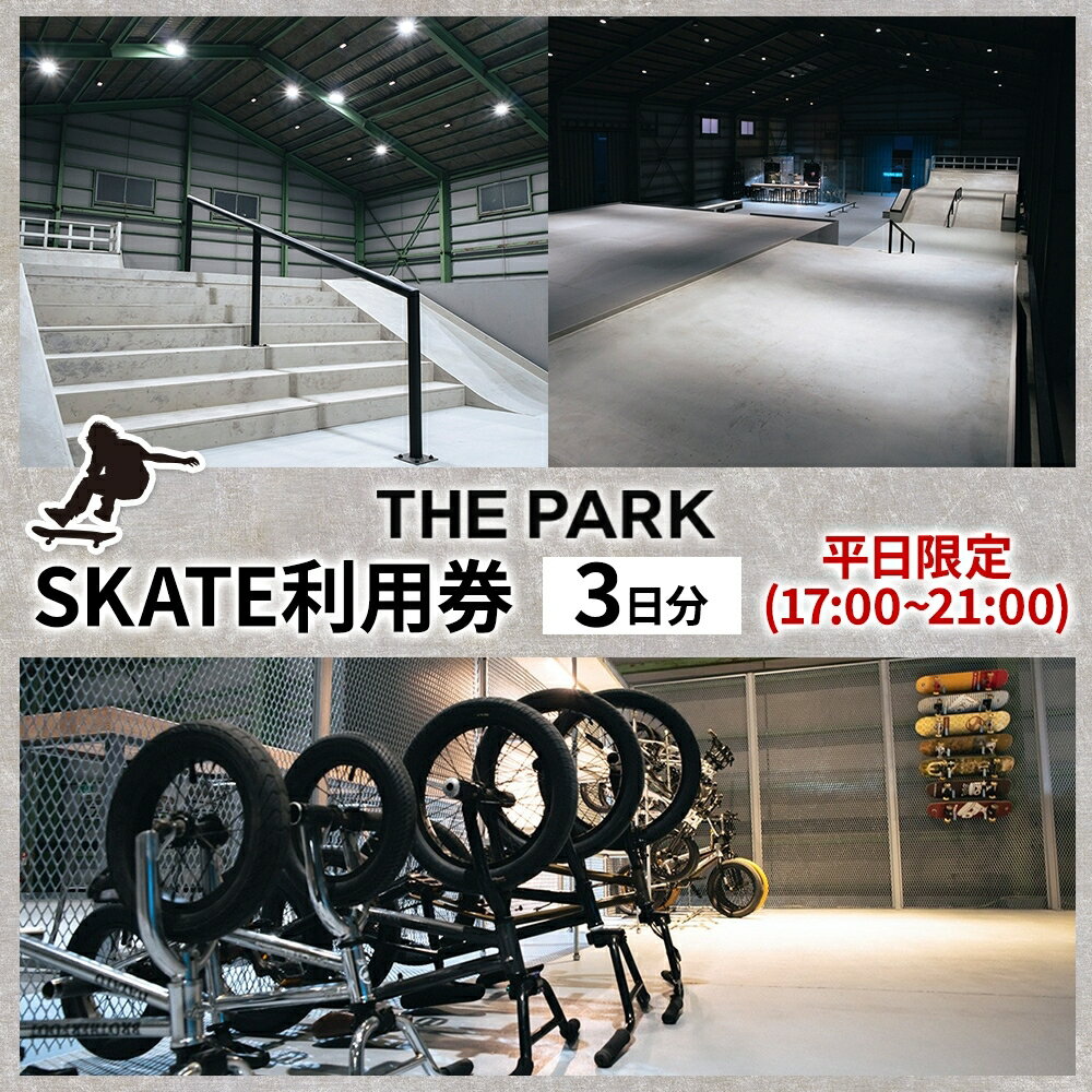 【ふるさと納税】中上級者限定 THEPARK 平日限定 3日分 SKATE 2部 利用券 スケートボード スケボー スケート 室内 コンクリート パーク ハンドレール ダウンレール 神奈川県 寒川町