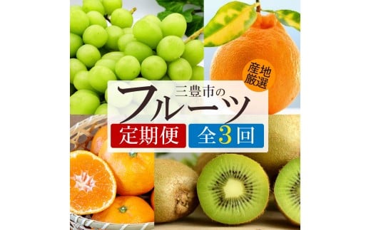 【ふるさと納税】【3回定期便】シャインマスカットと グリーンキウイ・旬のフルーツ (小原紅)